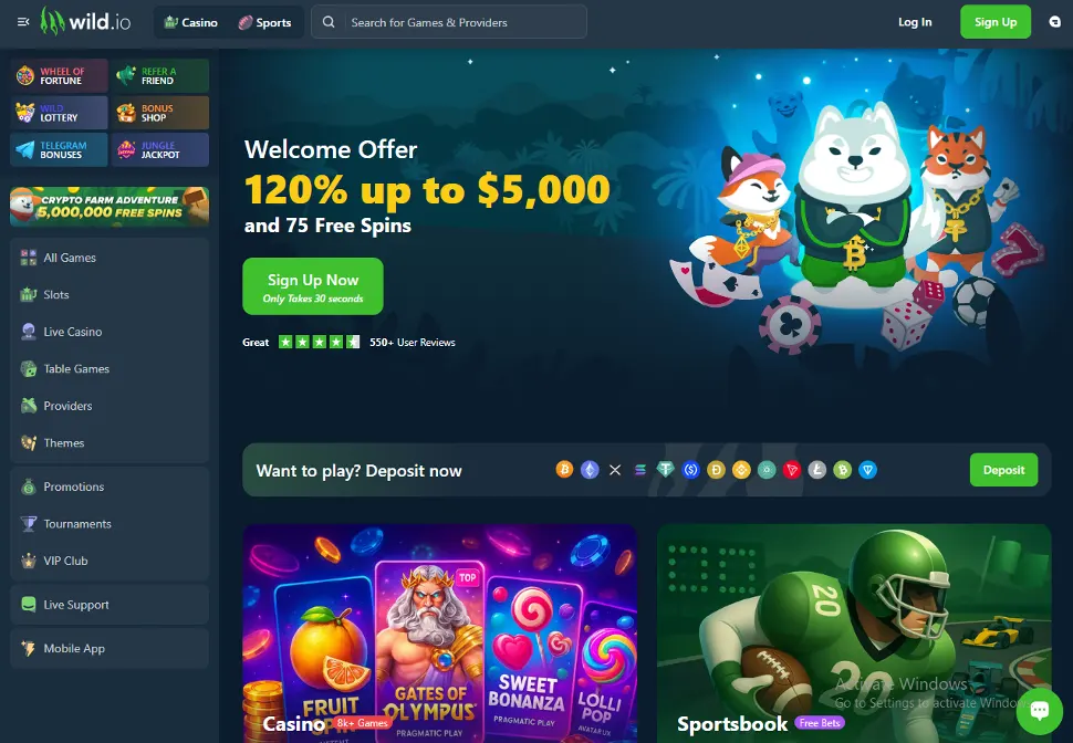 Wild.io Bitcoin Casino Boni