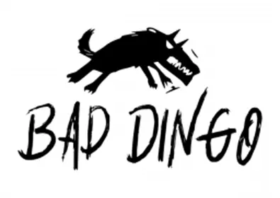 baddingo logo