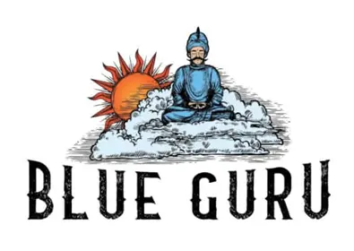 bluegurugames logo