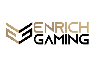 enrichgaming logo